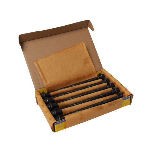 پیچ سرسیلندر پژو 405 زرین (بسته 10تایی)